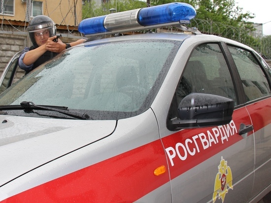 Росгвардейцы за день предотвратили несколько краж в Тверской области