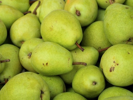 В Кирове раздавили более 3,5 тонны яблок и груш