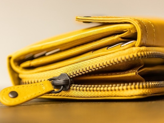 Смолянка проникла в дом к бабуле и украла из ее кошелька деньги