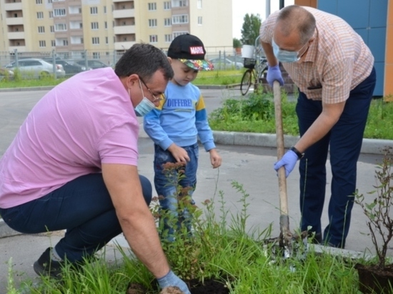Спирея станет украшением одного из детских садов в Иванове