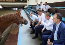 Депутаты съездили в Красноармейский район Краснодарского края, чтобы проверить ход реализации регионального закона о животноводстве
