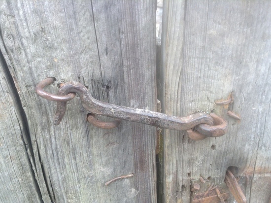 Когда смоляне смогут ни в чем не ограничиваться из-за коронавируса