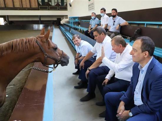 Депутаты проверили, как разводят коров и лошадей в Краснодарском крае