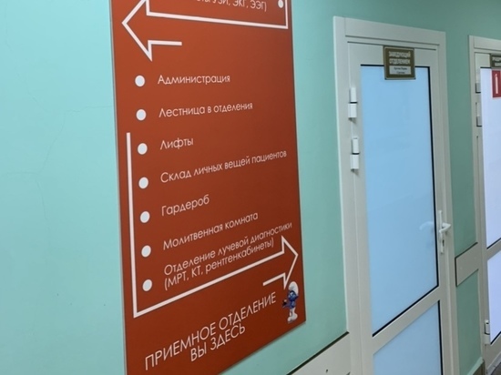 В Рязани в детской ОКБ сделали навигационные таблички с мультгероями