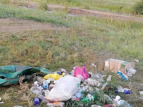 Свалку в калмыцком райцентре расчистили