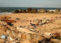 Выбросы пластика в мировой океан достигли рекордных темпов и продолжают набирать скорость