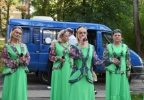 Первый праздник День двора прошёл на улице Ленина в посёлке Большевик городского округа Серпухов