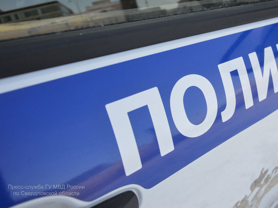 Екатеринбурженку похитили, запихнув в багажник: правоохранители провели проверку