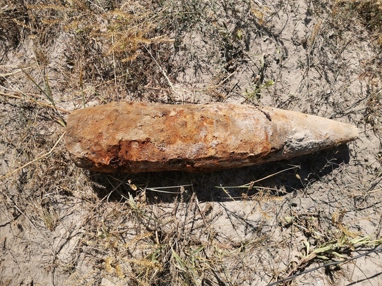 Взрывотехники тамбовской Росгвардии уничтожили обнаруженный в Котовске артиллерийский снаряд