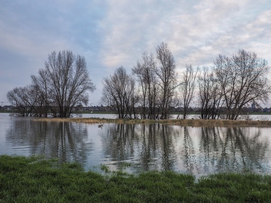 Уровень воды в забайкальской реке Чара продолжает расти