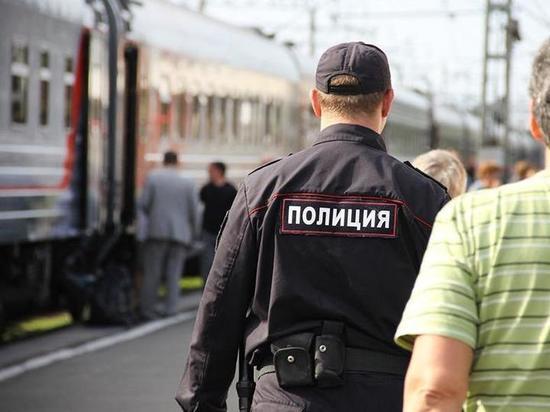 Пьяный забайкалец в поезде ударил полицейского при исполнении