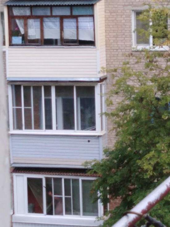 В Дорогобужском районе мужчина расстреливал с балкона птиц и животных