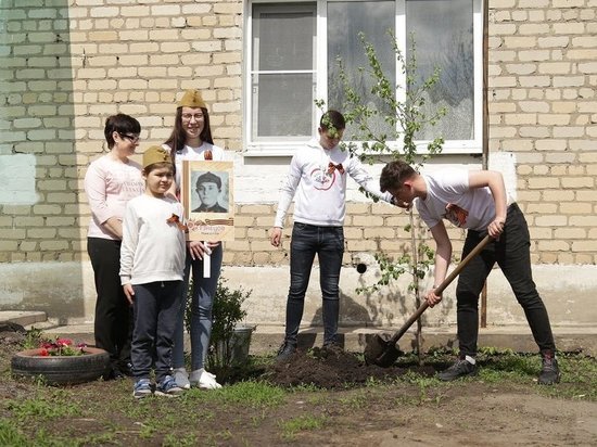  Участники акции «Сад памяти» высадили в Тамбовской области 420 тысяч молодых деревьев