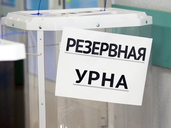 ЦИК предложил онлайн-выборы в Ярославской и Курской областях