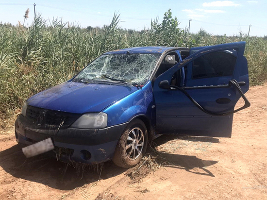 При падении Renault Logan в волгоградский канал погибли 8 человек