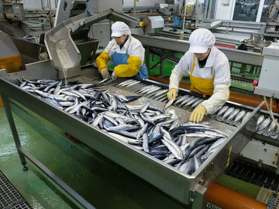 В Хакасии откроют комплекс по переработке рыбы