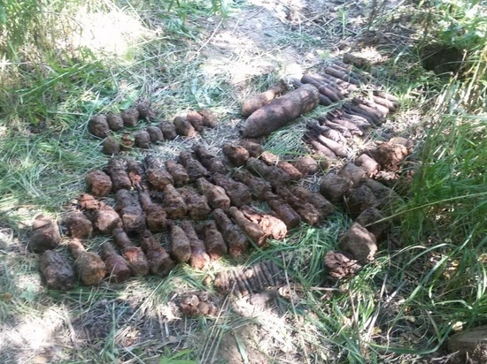 Более 100 опасных предметов найдено в деревне под Боровском