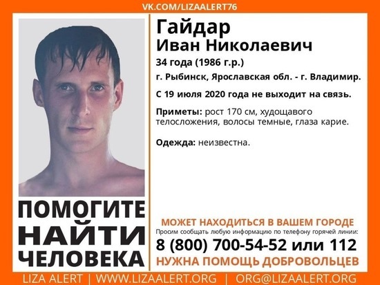 В Ярославской области пропал Гайдар