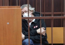 Российский актер театра и кино Михаил Ефремов будет молчать во время суда по делу о дорожно-транспортном происшествии с его участием