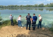 Специалисты-экологи осуществят проверку факта загрязнения воды в карьере деревни Дракино в городском округе Серпухов