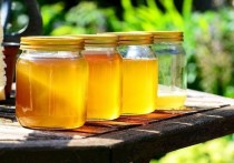Мед кузбасских пчеловодов будет проверяться по 17 позициям на наличие пестицидов, антибиотиков, уровень ферментов, кислотности и другим показателям качества