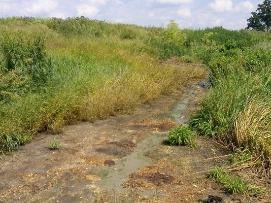 Штраф за загрязнение реки заплатит консервный завод в Серпухове