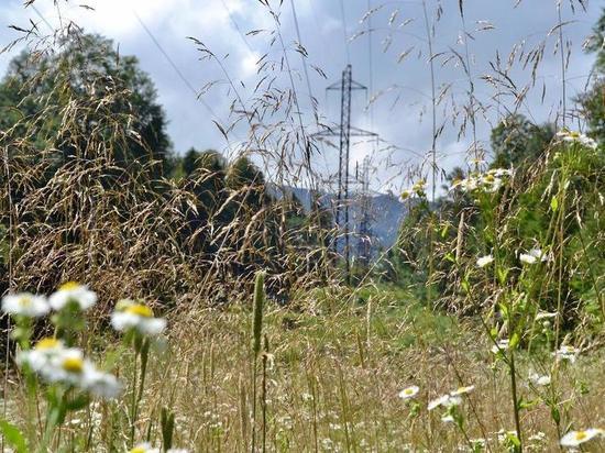 Энергетики начали капитальный ремонт в предгорных районах Кубани