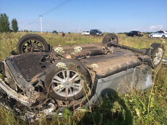 В Спасском районе рязнец на «Рено» улетел в кювет и погиб