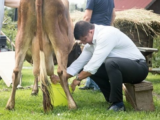 Бывший мэр Ярославля подергал корову за сиськи