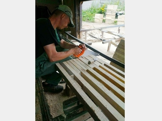 В Смоленске ремонтируют скамейки и рубят борщевик