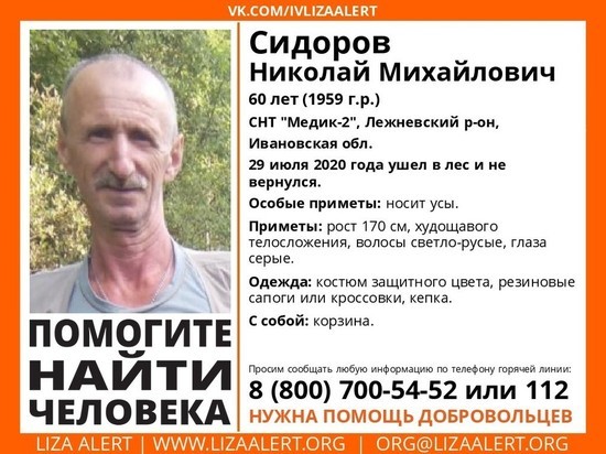 В Ивановской области разыскивают 60-летнего грибника