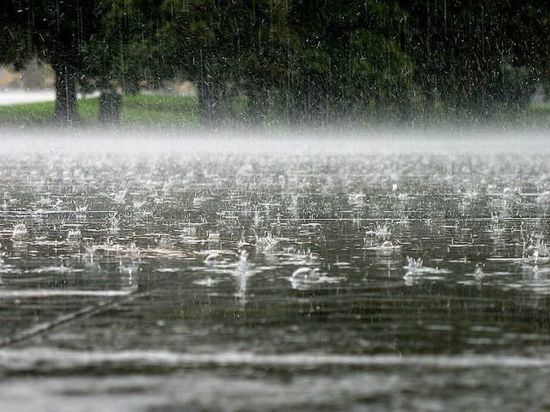 В Тверскую область возвращаются прохлада и проливные дожди
