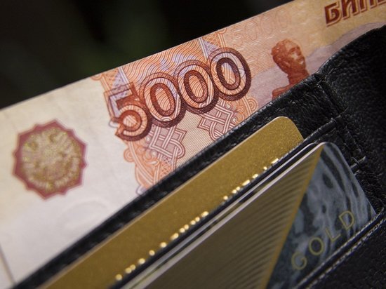 Рязанские вуз и два колледжа получат субсидии на инфраструктуру