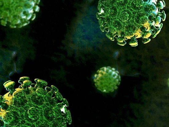 В Хакасии заболели коронавирусом 19 человек, выздоровели 50