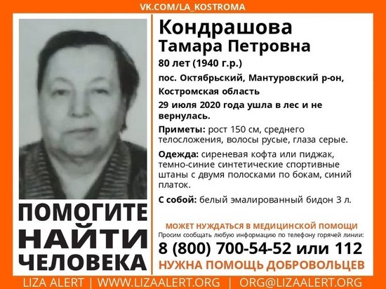Костромские волонтеры-спасатели разыскивают 80-летнюю пенсионерку с бидоном