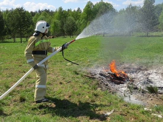 В Смоленской области работает 7081 добровольный пожарный