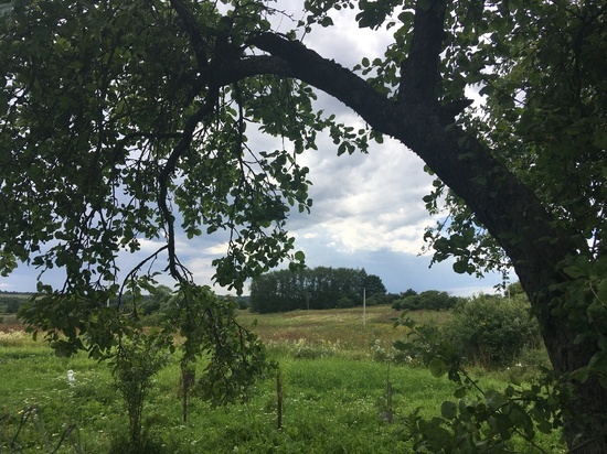 Когда в Смоленск вернется теплая погода