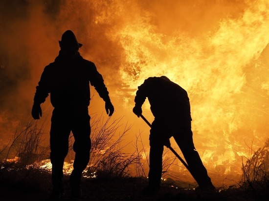 В Сочи потушили лесной пожар, бушевавший два дня