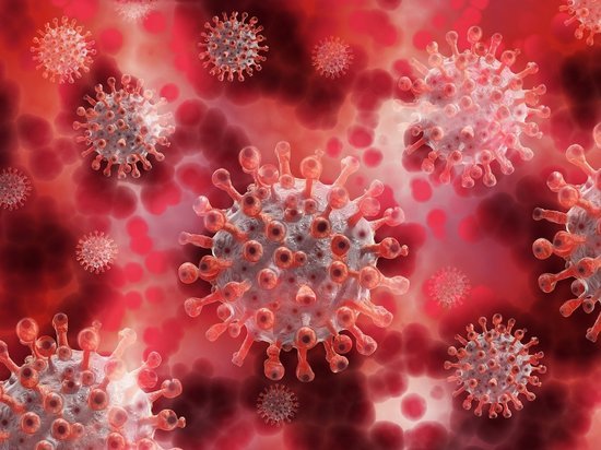 22 новых случая коронавируса выявлено на Колыме за сутки