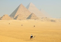 Заявившего о внеземном происхождении пирамид Илона Маска пригласили в Египет