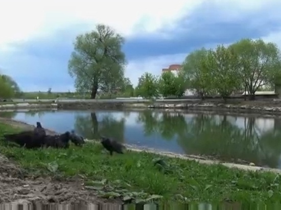 Благоустройство "Пуховского" пруда в Калуге затягивается