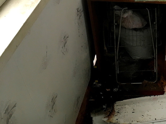 В Смоленске на Шевченко горела обшивка балкона в пятиэтажке