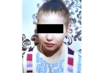 Тяжелобольного мальчика, страдающего аутизмом, более суток ищут волонтеры и полицейские Волоколамского района Подмосковья