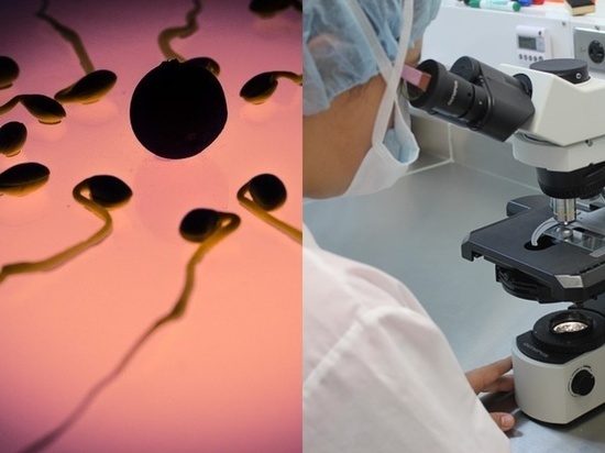 Сперматозоиды напомнили британским ученым штопор и выдру