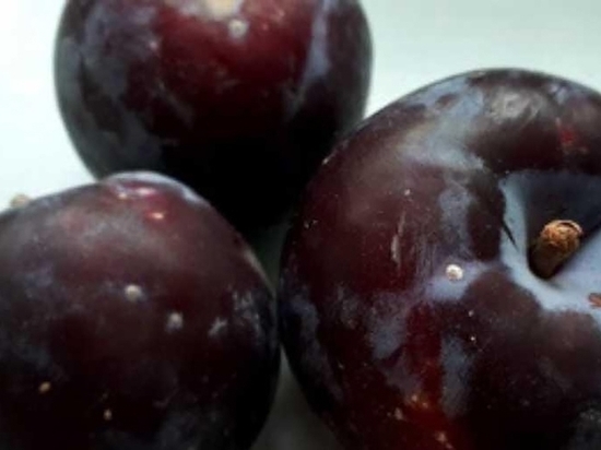 В Кировскую область с начала года завезли 142 т заражённых фруктов