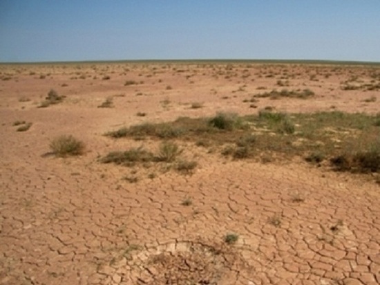В Калмыкии подсчитывают ущерб от засухи