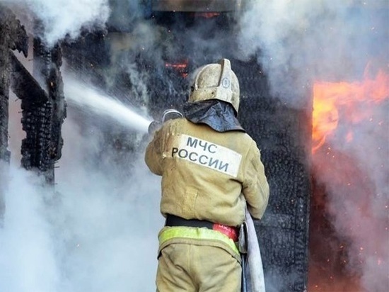 Неизвестные лица стали причиной двух крупных пожаров в Хакасии
