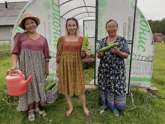 В Чурапчинском улусе Якутии организовали скупку овощей у жителей