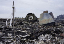 Пилот сбитого в небе над Донбассом в 2014 году пассажирского Boeing, выполнявшего рейс из Амстердама в Куала-Лумпур, за несколько секунд до катастрофы менял домашние тапочки на ботинки, заявил независимый технический эксперт Юрий Антипов