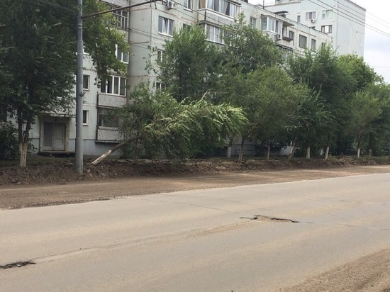 Оренбуржцы продолжают жаловаться на вырубку деревьев
